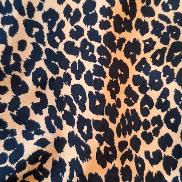 Victoria secret hiphugger leopard print panties - Picture 2 of 4